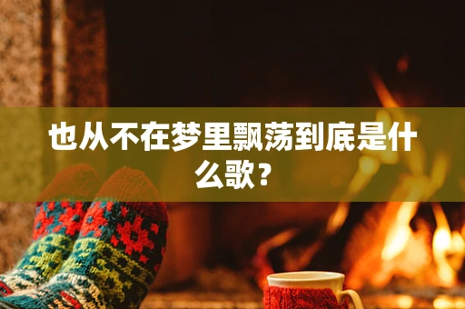 也从不在梦里飘荡到底是什么歌？