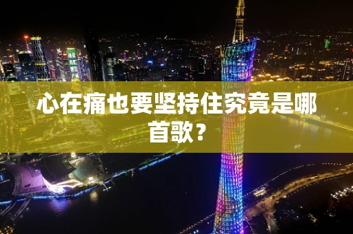 心在痛也要坚持住究竟是哪首歌？