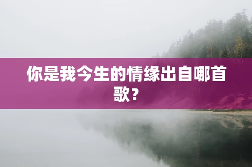你是我今生的情缘出自哪首歌？
