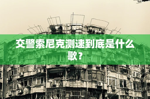 交警索尼克测速到底是什么歌？