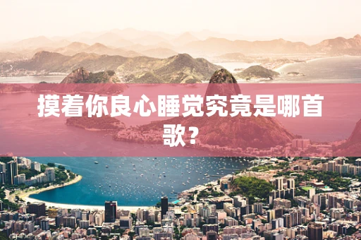 摸着你良心睡觉究竟是哪首歌？