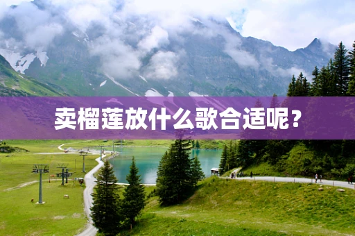 卖榴莲放什么歌合适呢？