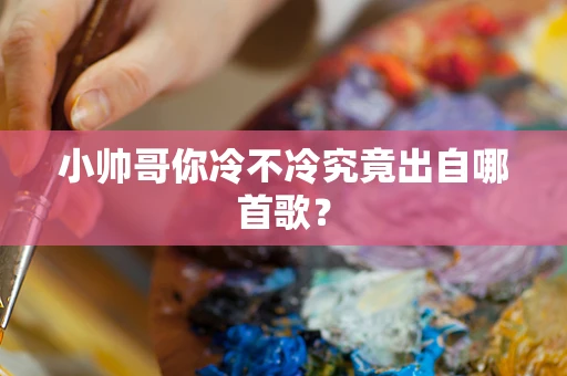 小帅哥你冷不冷究竟出自哪首歌？
