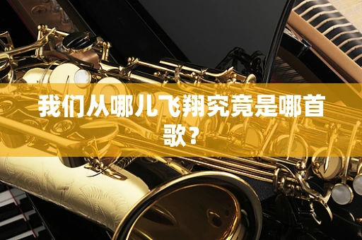 我们从哪儿飞翔究竟是哪首歌？