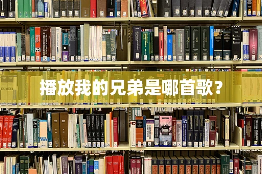 播放我的兄弟是哪首歌？