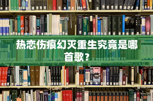 热恋伤痕幻灭重生究竟是哪首歌？
