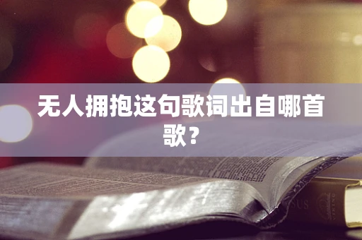 无人拥抱这句歌词出自哪首歌？