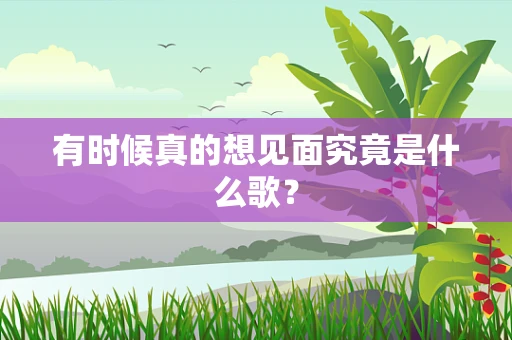 有时候真的想见面究竟是什么歌？