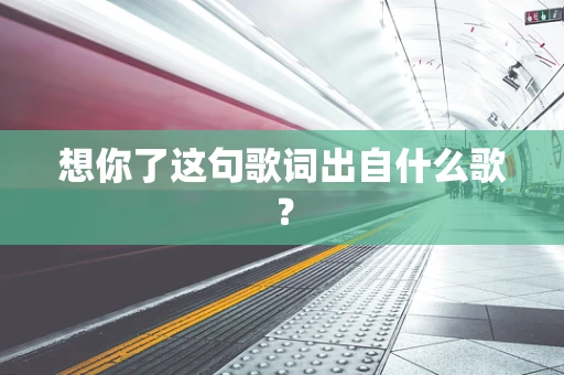 想你了这句歌词出自什么歌？