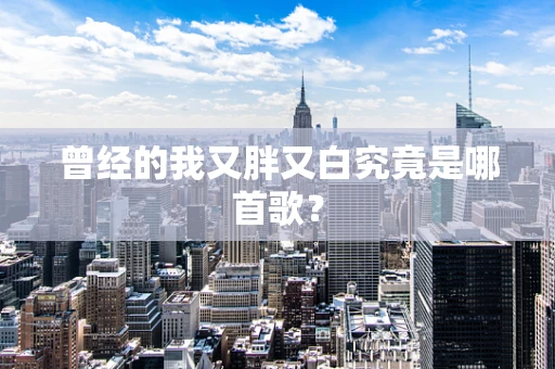 曾经的我又胖又白究竟是哪首歌？