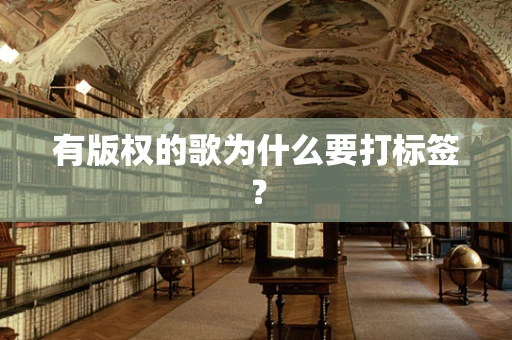 有版权的歌为什么要打标签？