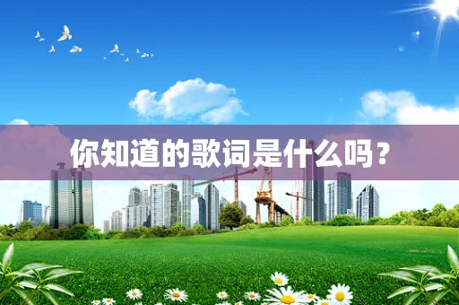 你知道的歌词是什么吗？
