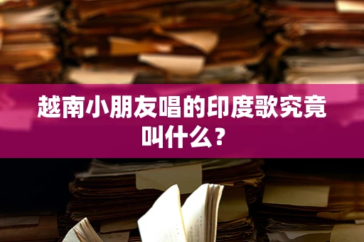 越南小朋友唱的印度歌究竟叫什么？