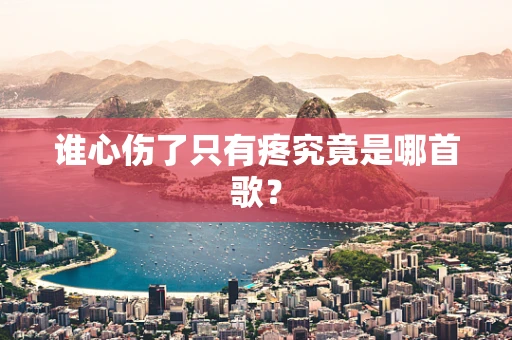 谁心伤了只有疼究竟是哪首歌？