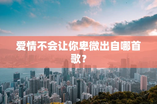 爱情不会让你卑微出自哪首歌？