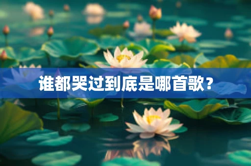谁都哭过到底是哪首歌？