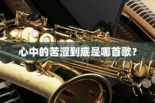 心中的苦涩到底是哪首歌？