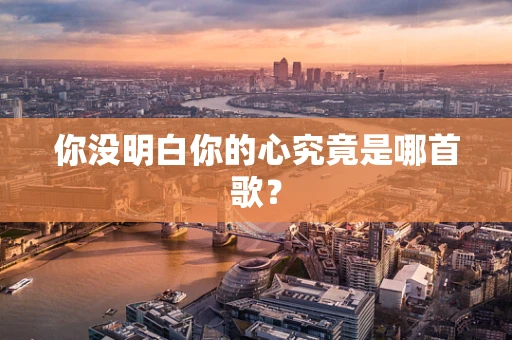 你没明白你的心究竟是哪首歌？