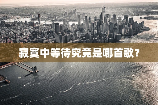 寂寞中等待究竟是哪首歌？