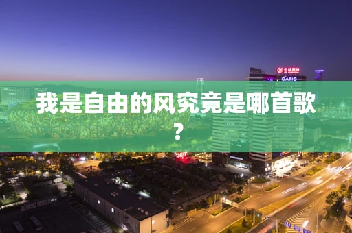 我是自由的风究竟是哪首歌？