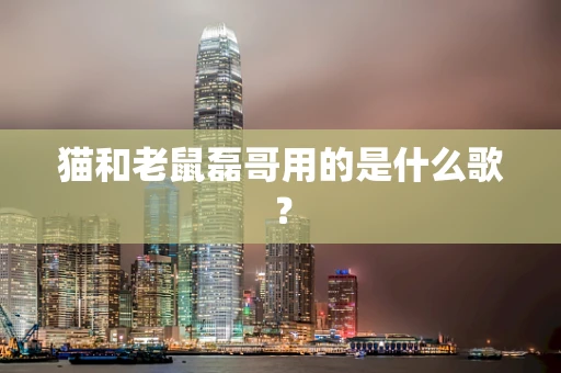 猫和老鼠磊哥用的是什么歌？
