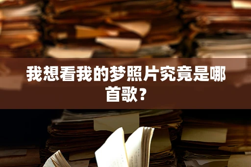 我想看我的梦照片究竟是哪首歌？