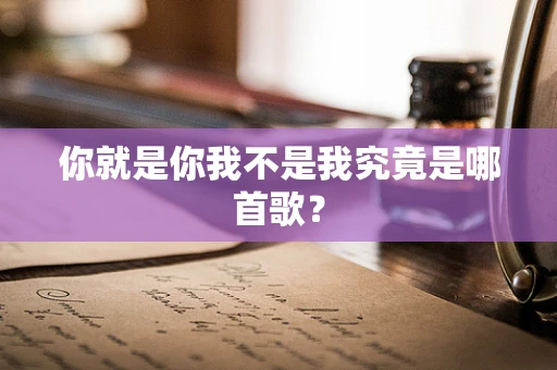 你就是你我不是我究竟是哪首歌？