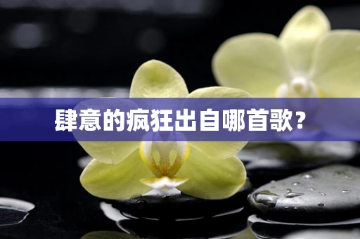 肆意的疯狂出自哪首歌？