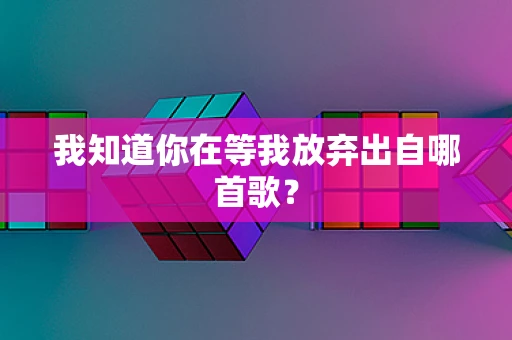 我知道你在等我放弃出自哪首歌？