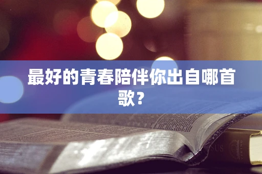 最好的青春陪伴你出自哪首歌？