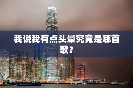 我说我有点头晕究竟是哪首歌？