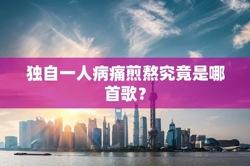 独自一人病痛煎熬究竟是哪首歌？