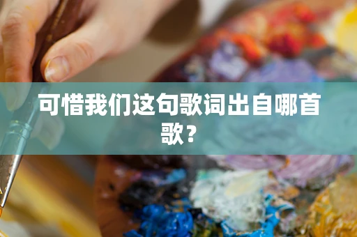 可惜我们这句歌词出自哪首歌？