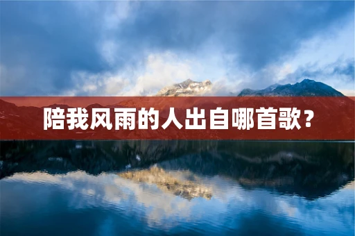 陪我风雨的人出自哪首歌？