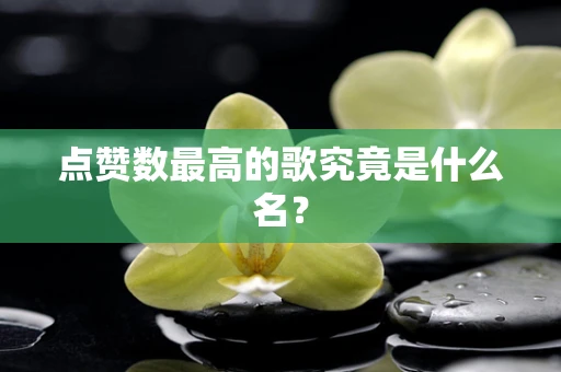 点赞数最高的歌究竟是什么名？