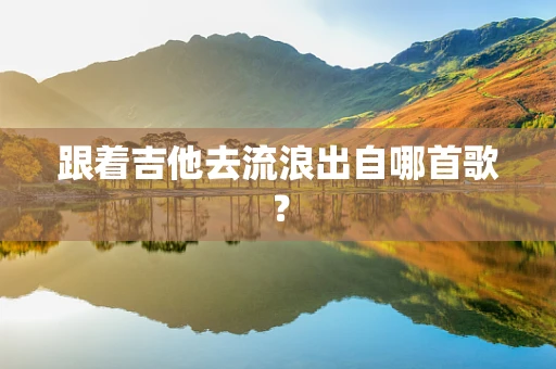跟着吉他去流浪出自哪首歌？