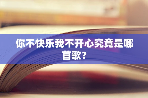 你不快乐我不开心究竟是哪首歌？