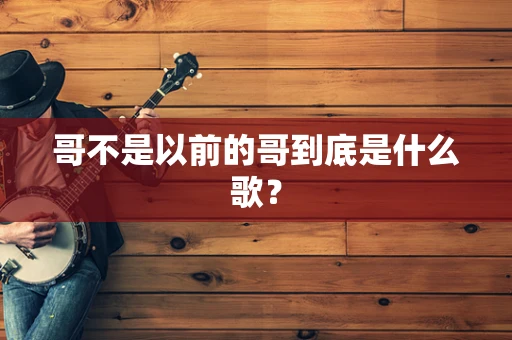 哥不是以前的哥到底是什么歌？