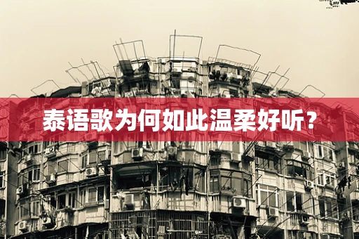 泰语歌为何如此温柔好听？