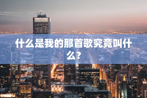 什么是我的那首歌究竟叫什么？
