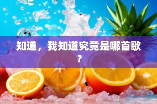 知道，我知道究竟是哪首歌？