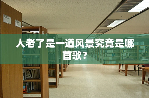 人老了是一道风景究竟是哪首歌？
