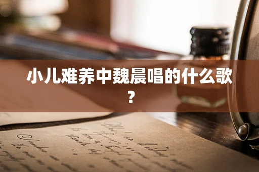 小儿难养中魏晨唱的什么歌？