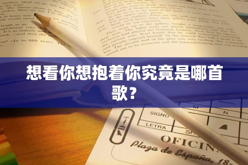 想看你想抱着你究竟是哪首歌？
