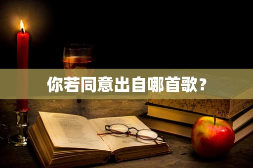 你若同意出自哪首歌？