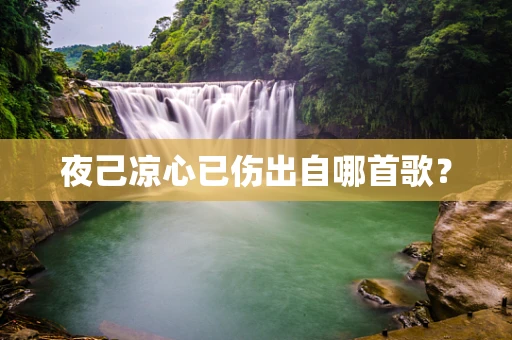 夜己凉心已伤出自哪首歌？