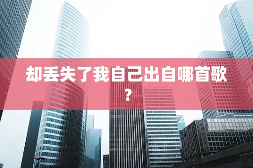 却丢失了我自己出自哪首歌？