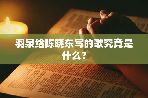 羽泉给陈晓东写的歌究竟是什么？
