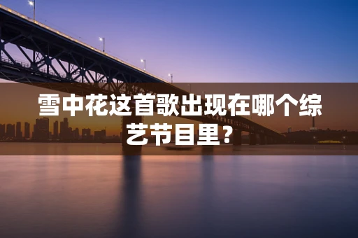 雪中花这首歌出现在哪个综艺节目里？