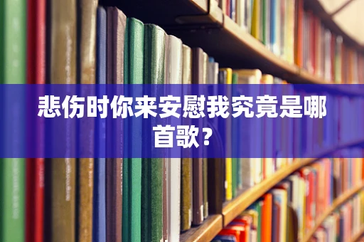 悲伤时你来安慰我究竟是哪首歌？